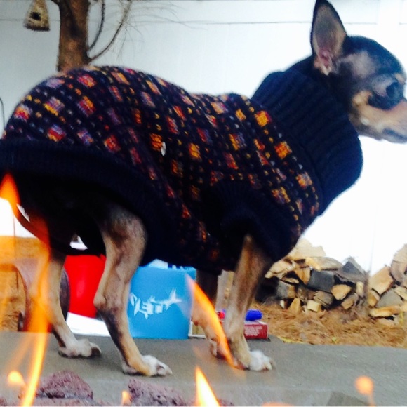 🐾WARM DOG TURTLENECK SWEATER🐾 - Picture 7 of 10